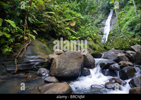 waterfall, Cocos Island national park, Costa Rica, East Pacific Ocean Stock Photo