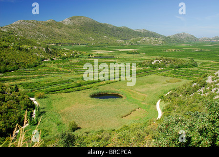 DALMATIAN COAST, CROATIA. The fertile Neretva Delta near Ploce in southern Dalmatia. Stock Photo
