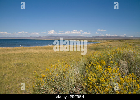 Mono Lake in Sierra Nevada mountains, Northern California ,USA Stock Photo