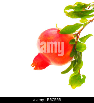 Red pomegranate isolated on white background Stock Photo
