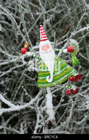 A tin green and red cheery Father Christmas tree decoration sitting on a frosty branch in the garden ringing a handbell Stock Photo