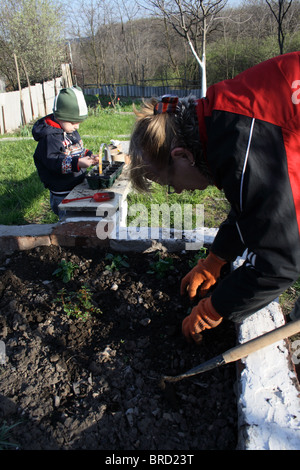 Senior woman with grandson planting flowers in garden Stock Photo - Alamy