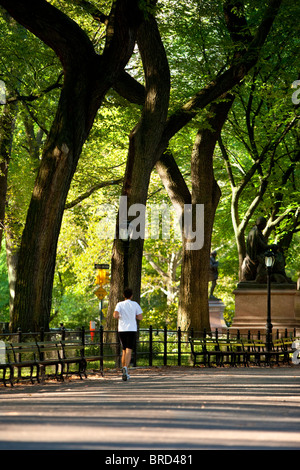 Early morning run through Central Park in Manhattan, New York City USA Stock Photo