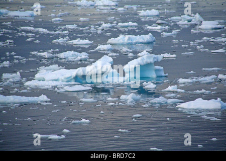 Icebergs and brash ice in calm seas, Lemaire Channel, Antarctica