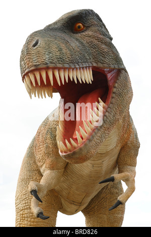 Tyrannosaurus Rex dinosaur outdoors, photographed against an overcast white sky. Stock Photo