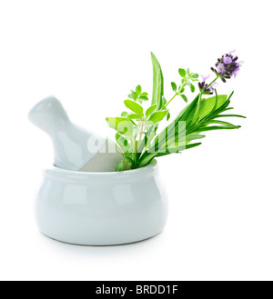 Healing herbs in white ceramic mortar and pestle isolated on white background Stock Photo