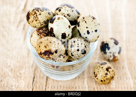 Many small brown spotted quail eggs in bowl Stock Photo