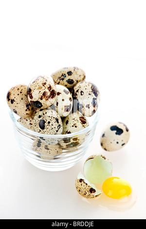 Many small speckled quail eggs with one broken egg Stock Photo