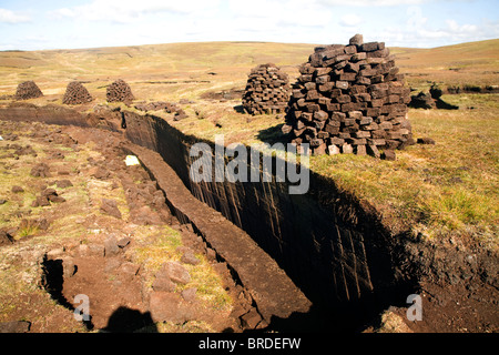 Peat cutting trenches, near Mid Walls, Mainland, Shetland Islands, Scotland Stock Photo