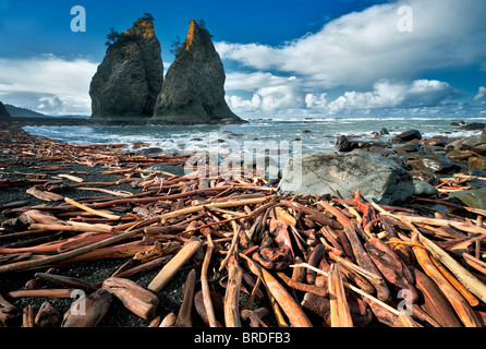Driftwood and Split Rock. Rialto Beach. Olympic National Park, Washington Stock Photo