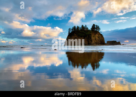 Low tide reflection of Crying Lady Rock at Second Beach. Olympic National Park, Washington Stock Photo