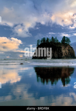 Low tide reflection of Crying Lady Rock at Second Beach. Olympic National Park, Washington Stock Photo