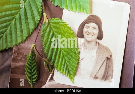 Photo of woman in 1920s fashion lying on other sepia photos with sprig of fresh green Hornbeam leaves on top Stock Photo