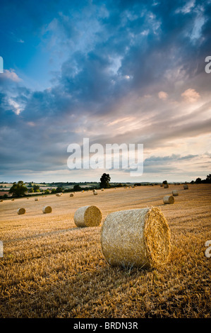 Hay bails and stubble in a field at sunset, Warwickshire, England, UK