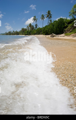 Close-up of sea foam on the sand beach with summer sunlight Stock Photo ...