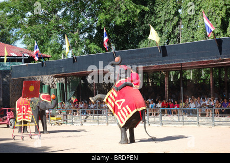 The famous elephant show in Nong Nooch tropical garden, Pattaya, Thailand Stock Photo