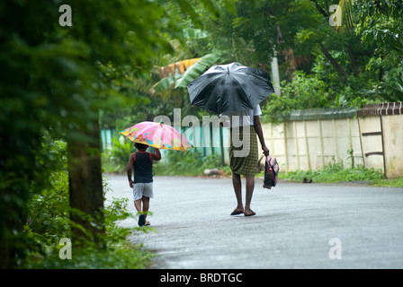 An old man is on his way to drop his grandson to school during a monsoon; rainy day at Alappuzha; Alleppey, Kuttanad, Kerala. Stock Photo