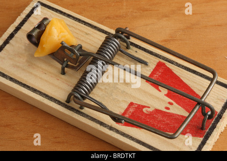Set Mouse Trap with Cheese Bait Stock Photo