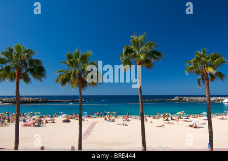 Playa Amadores in Puerto Rico, Gran Canaria, Canary Islands, Spain Stock Photo