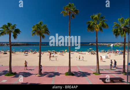 Playa Amadores in Puerto Rico, Gran Canaria, Canary Islands, Spain Stock Photo