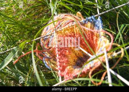 Tricolored clew with knitted pattern and five needles on green bright grass Stock Photo