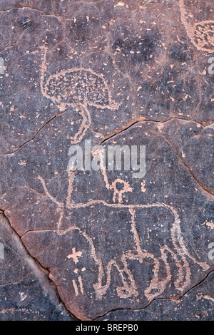 Horned cow and ostrich, engraved rock art in the Akakus Mountains, Sahara Desert, Libya Stock Photo