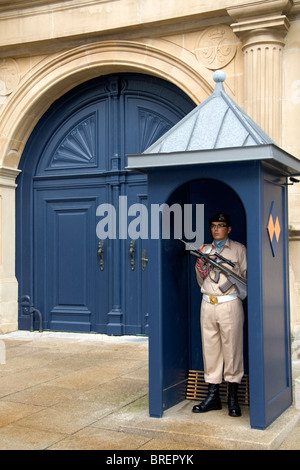 Military of Luxembourg soldier guarding the Grand Ducal Palace in Luxembourg City, Luxembourg. Stock Photo