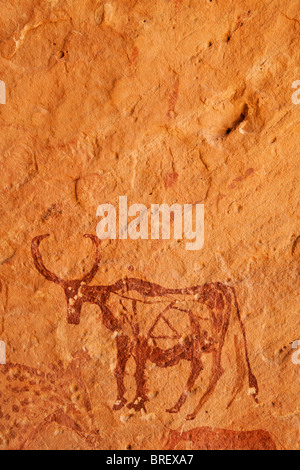Painted domestic cows, rock art in the Akakus Mountains, Sahara Desert, Libya Stock Photo