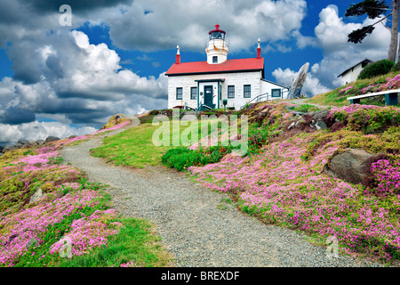 Sedums blooming at Battery Point lighthouse, California A sky has been added Stock Photo