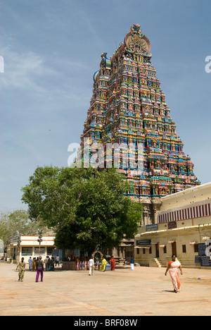 Gopuram (tower) at the Sri Meenakshi (Hindu temple) in Madurai ; Tamil Nadu ; India Stock Photo