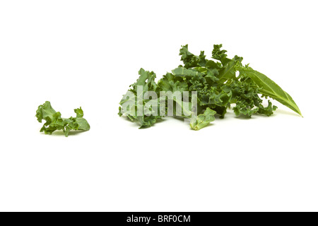 Background of Shredded Curly Kale from low perspective. Stock Photo