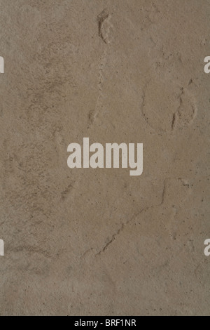 Closeup of concrete ideal for a grungy urban background or texture Stock Photo