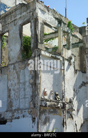 Teddy Bear Memorial on a storm damaged wall left in abandonment.Teddy Bears hanging on side of wall exposed to the elements. Stock Photo