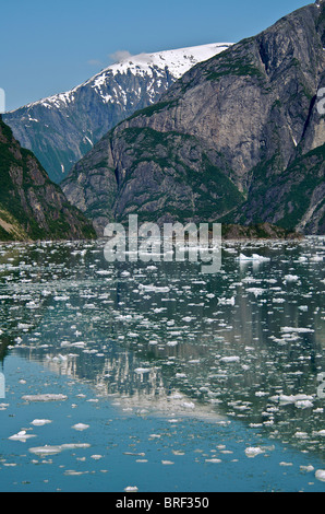Ice flow from Sawyer Glacier Tracy Arm Fjord Inside Passage Alaska USA Stock Photo