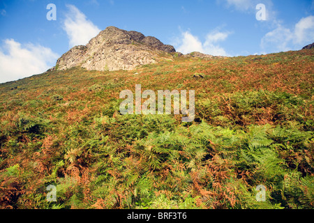 Carn Llidi tor, St David's Head, Pembrokeshire, Wales Stock Photo