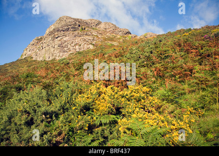 Carn Llidi tor, St David's Head, Pembrokeshire, Wales Stock Photo