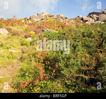 Carn Llidi tor, St David's Head, Pembrokeshire, Wales Stock Photo