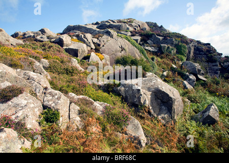 Carn Llidi tor, St David's Head, Pembrokeshire, Wales Stock Photo