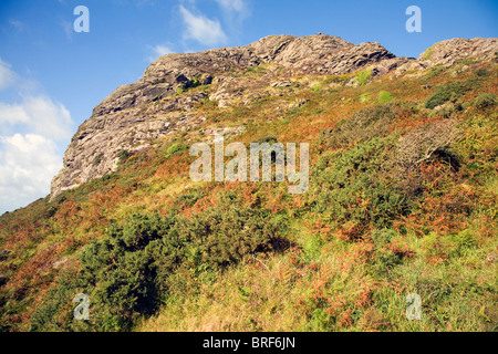 Carn Llidi tor, St David's Head, Pembrokeshire, Wales Stock Photo