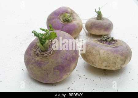 Turnips on white background Stock Photo