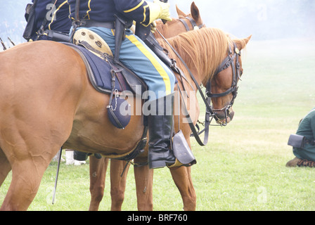 Detail, Union cavalry sergeant on his horse, Civil War Battle Re-enactment, Port Gamble, WA Stock Photo