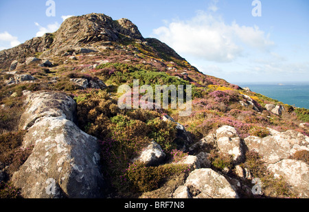 Carn Llidi tor, St David's Head, Pembrokeshire, Wales Stock Photo