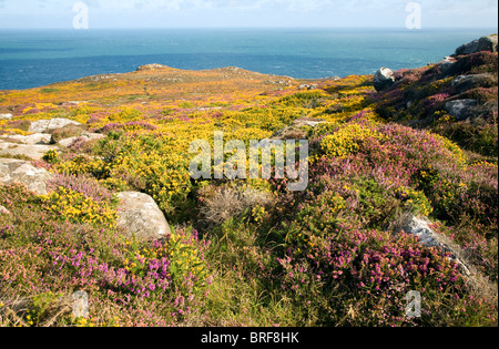 View to sea from Carn Llidi tor, St David's Head, Pembrokeshire, Wales Stock Photo