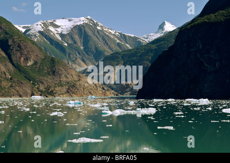 Ice flow from Sawyer Glacier Tracy Arm Fjord Inside Passage Alaska USA Stock Photo