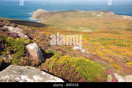 View to sea from Carn Llidi tor, St David's Head, Pembrokeshire, Wales Stock Photo