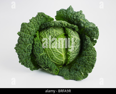 Savoy cabbage against white background Stock Photo