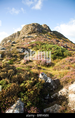 Carn Llidi tor, St David's Head, Pembrokeshire, Wales Stock Photo