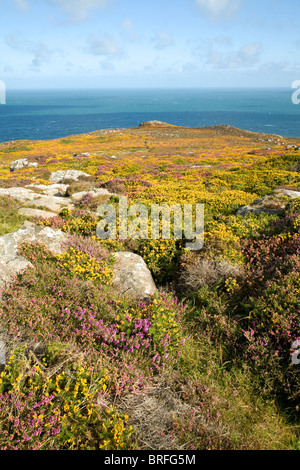 View to sea from Carn Llidi tor, St David's Head, Pembrokeshire, Wales Stock Photo