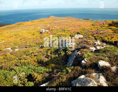 View to sea from Carn Llidi tor, St David's Head, Pembrokeshire, Wales Stock Photo