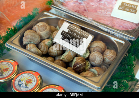 escargots in shop window, lille, france Stock Photo